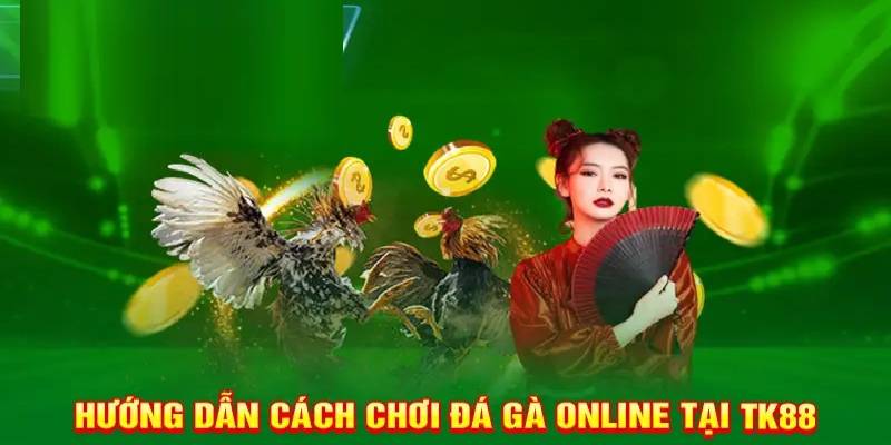 3 trò chơi hot nhất tại đá gà TK88