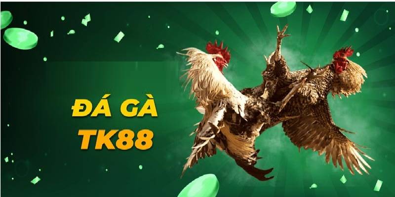 Đá Gà TK88