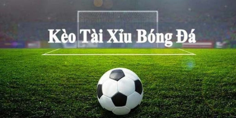 Đọc kèo tài xỉu như thế nào là chuẩn?